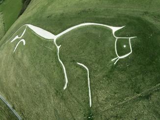 horse